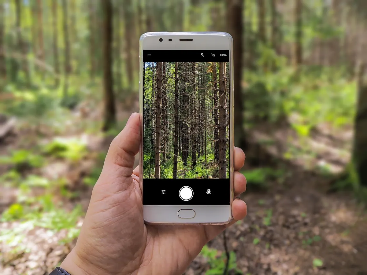 Wildlife Camera Traps: How to Set Them Without Disturbing Animals